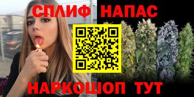 apvp Татарск