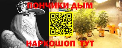 сатива Тверь