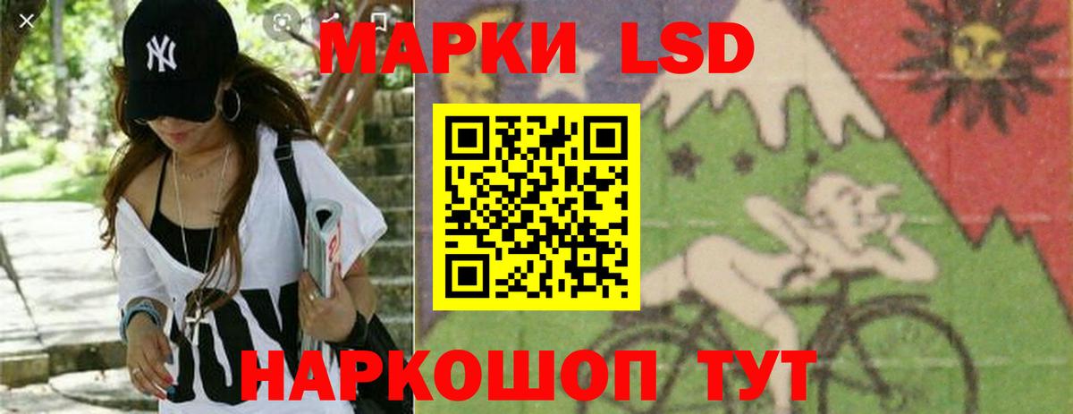 LSD-25 экстази ecstasy  Вход с VPN  Новоалександровск  LSD-25 экстази ecstasy 
