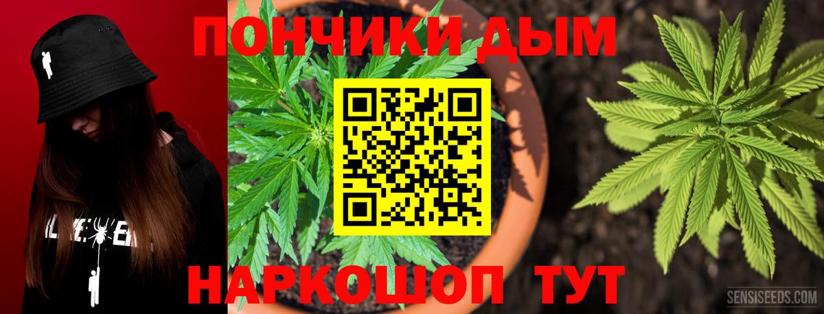 Бошки марихуана SATIVA & INDICA Новоалександровск